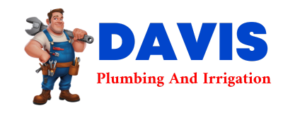 Trusted plumber in CUBERO